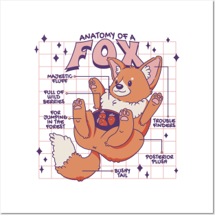 Anatomy Of A Fox Cute Funny Fox Design Posters and Art